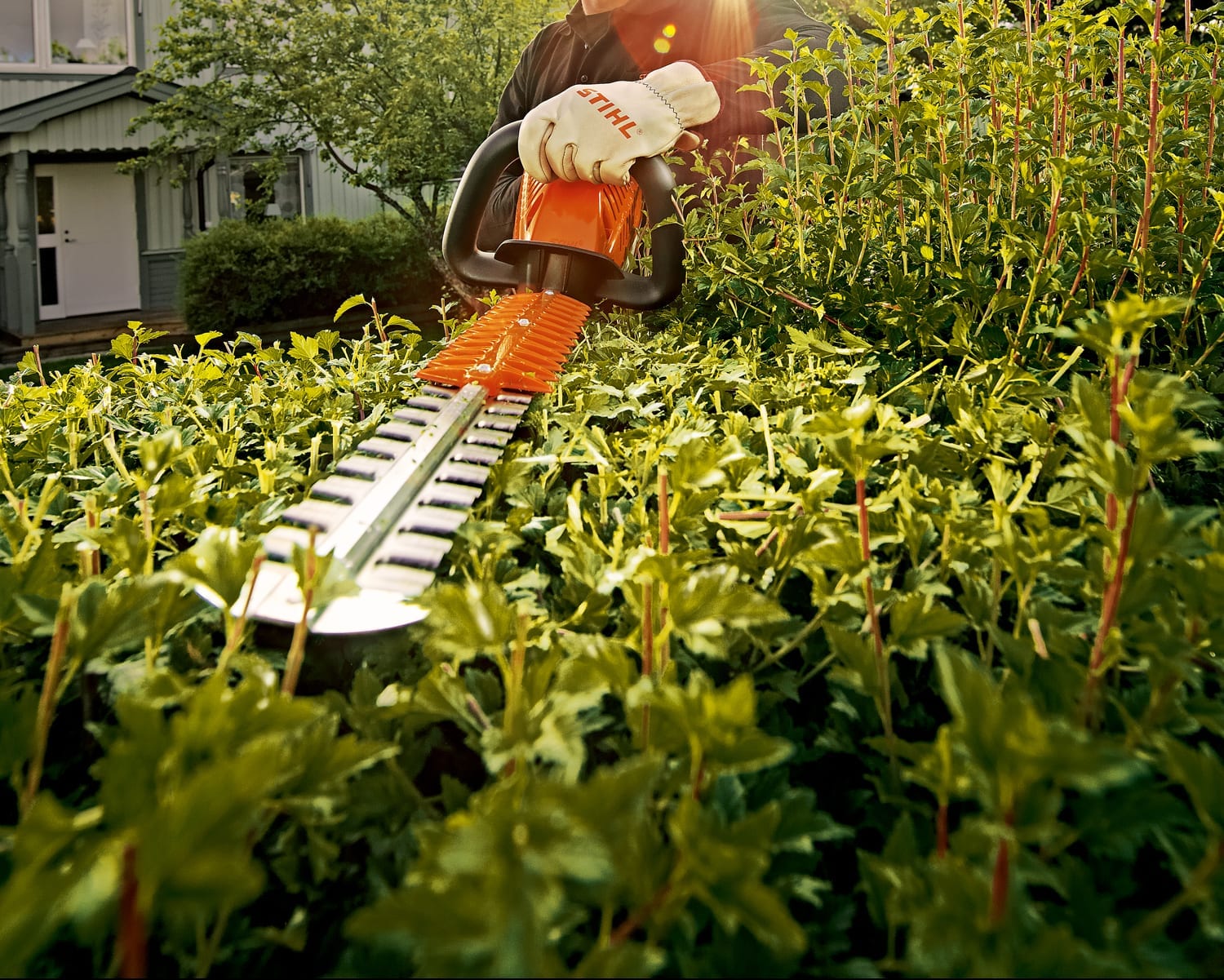 Stihl hedge trimmer discount for sale